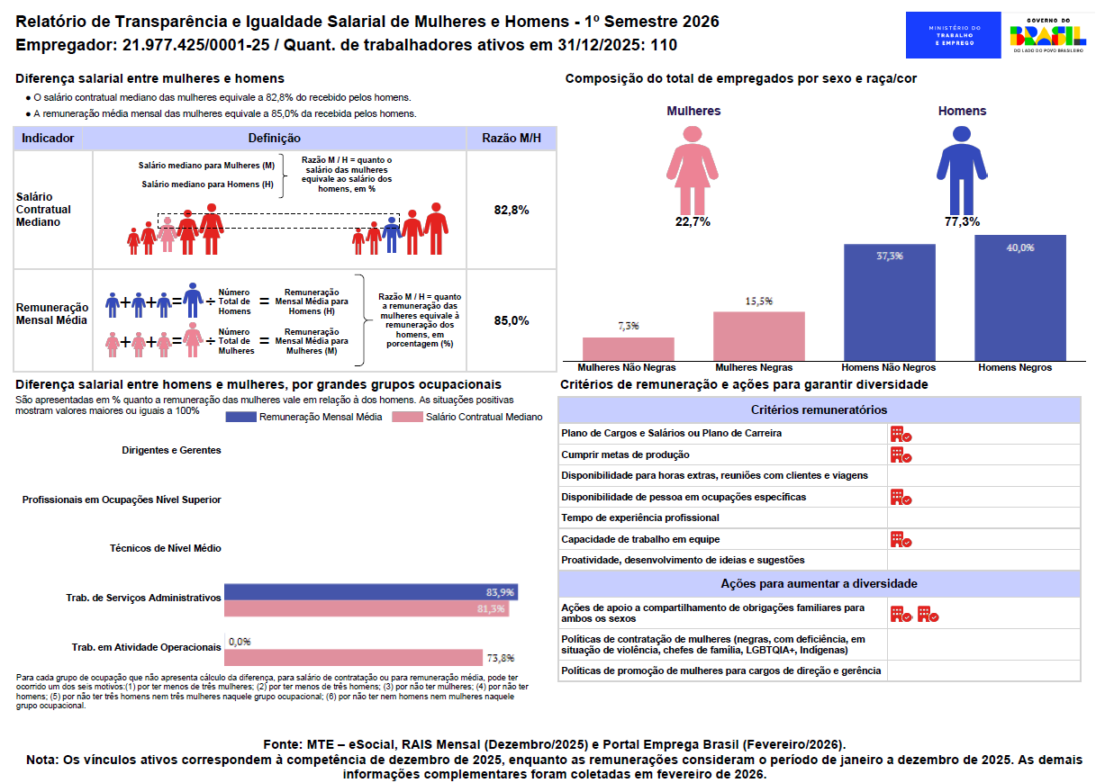 Relatório de Transparência Salarial e de Critérios Remuneratórios